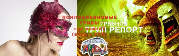 МДПВ Арсеньев