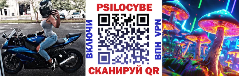 магазин    Бугульма  Галлюциногенные грибы GOLDEN TEACHER 
